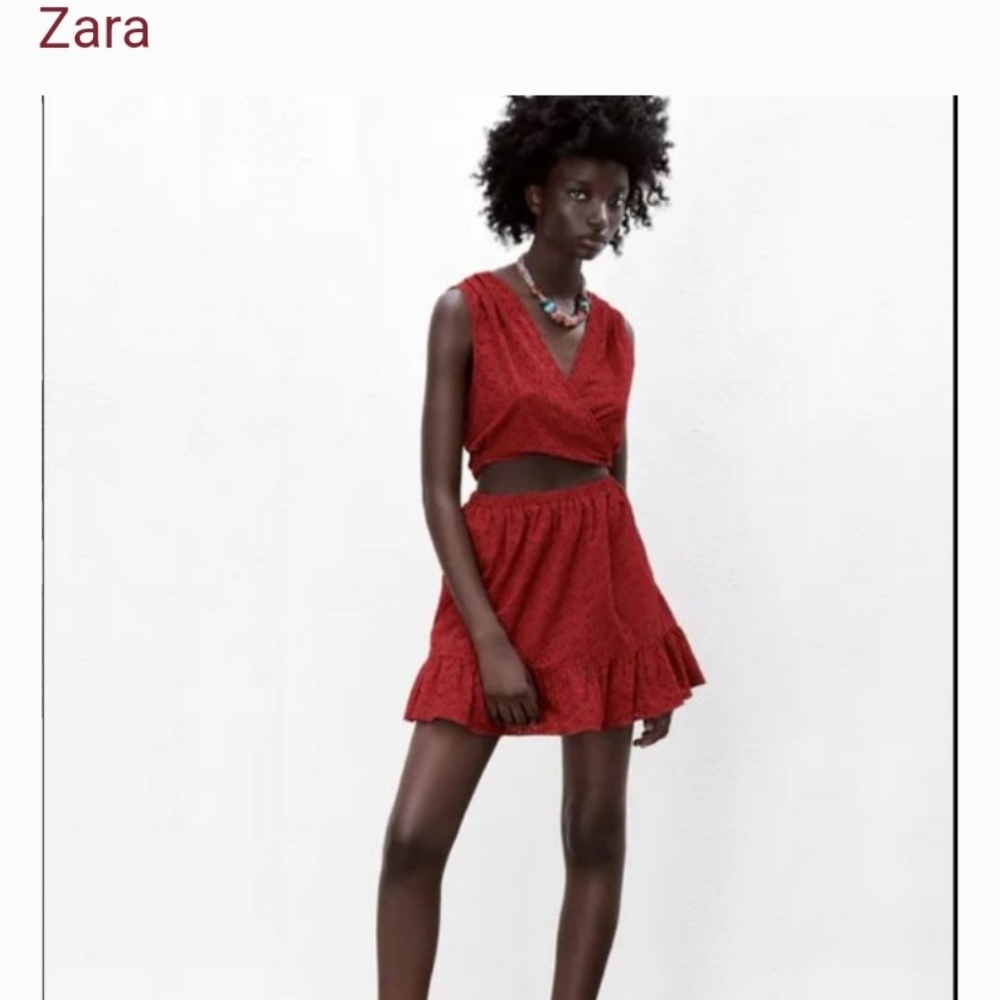 ZARA OPENWORK EMBROIDERED TERRACOTTA DRESS